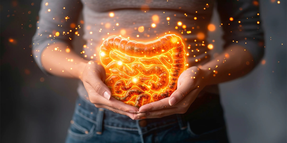 6. Intestino e hormônios: a conexão que poucas mulheres conhecem